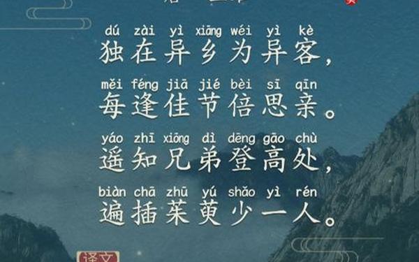 九九重阳节的古诗 九月九日忆山东兄弟少一人是指