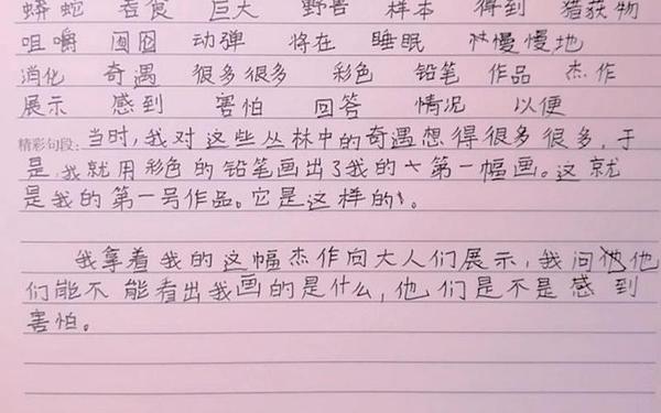 小王子读书笔记;小王子阅读摘抄