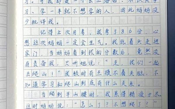 三年级优秀作文10篇;三年级的免费作文
