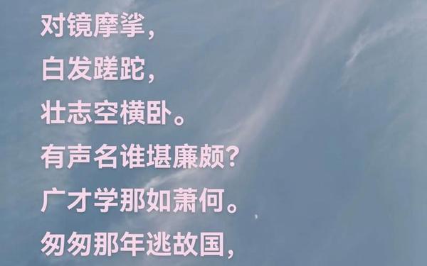 多看无滋味打一成语(八十万禁军教头是何人打一成语)
