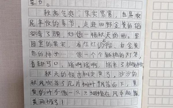小学三年级日记范文_三年级优秀日记100篇