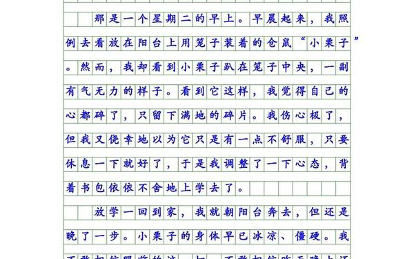 五年级第六单元作文—五年级第二单元作文那一刻我长大了