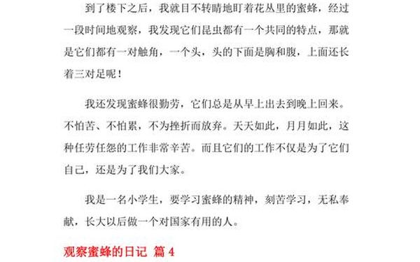 四年级作文观察日记 四年级下册研学作文观察蜜蜂怎么写