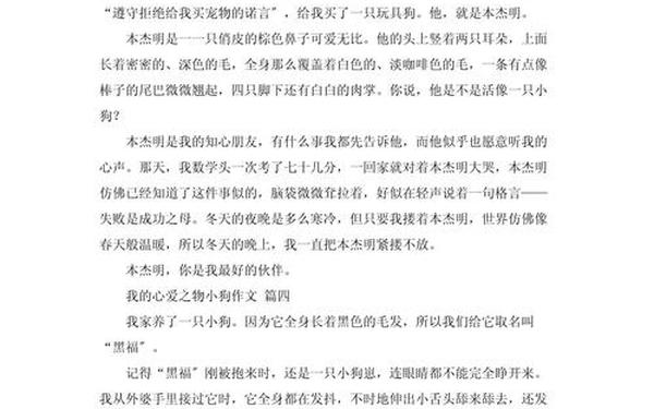 我喜欢的小动物;我喜欢的小狗