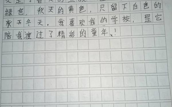 我的校园作文300字_小学生0分作文
