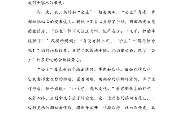 四年级300字优秀作文大全,四年级优秀300字可抄
