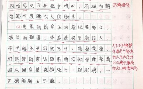800字作文带批注和旁批(优秀作文加批注800字)