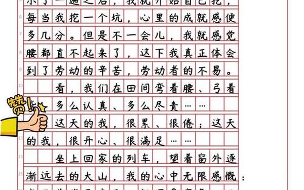 关于五一假期的作文-我的假期作文500字左右