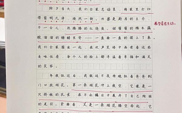 快乐的春节作文500字(美好春节作文)