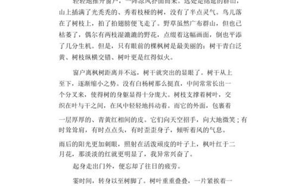 枫叶的作文_枫叶的描写段落200字