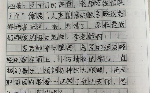 五年级漫画老师作文500字-让999个老师吐血的作文图片