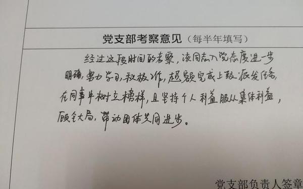 党支部考察意见—入党培养联系人意见简短评语 党支部考察意见—入党培养联系人意见简短评语