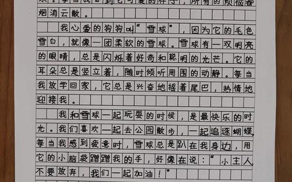 五年级我的心爱之物400字(我喜爱的一本书400字五年级)