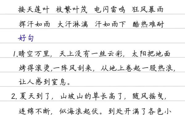 积累好词好句好段摘抄—优美句子积累摘抄大全