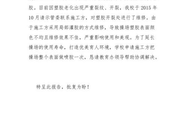 请示报告的范文 专此请示