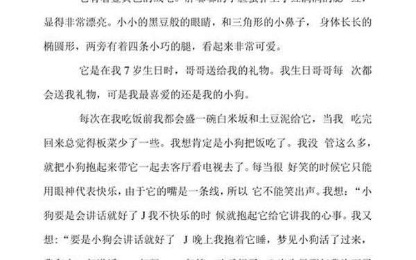 我的心爱之物450字作文优秀-我的心爱之物作文450字