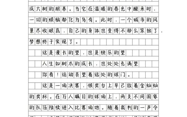 围绕中心意思写作文500字 100000000000字作文