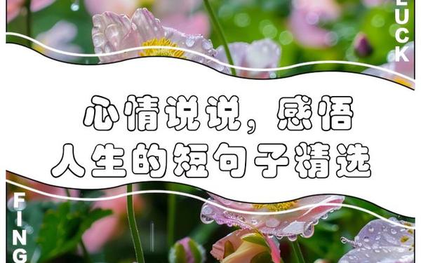 感悟人生的金句—一句感言简短