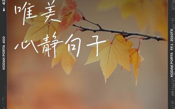 平静的心情;安静的句子唯美短句