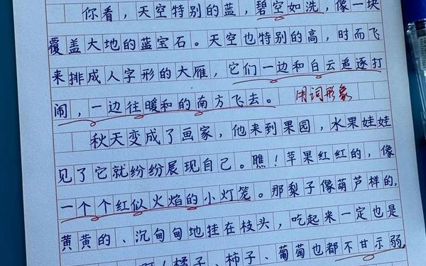 三年级作文怎么写300字(三年级抄一篇300字)