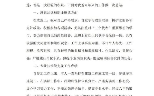专业技术工作述评—本人任职考核期间专业技术工作述评