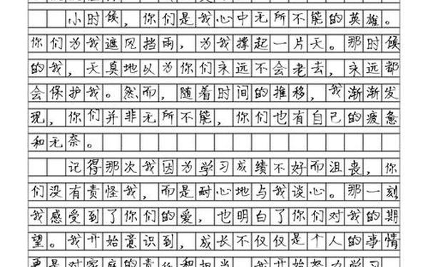 慢慢领悟作文800字初中(慢慢的我懂了作文600字初中)