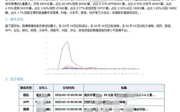 互联网舆情分析报告(舆情分析报告怎么写)