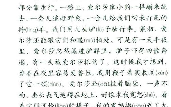 小狮子爱尔莎续写_小狮子爱尔莎读后感