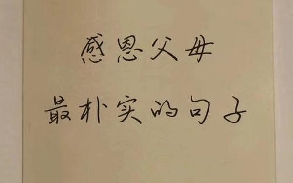 感恩父母唯美短句;感恩父母最朴实的句子