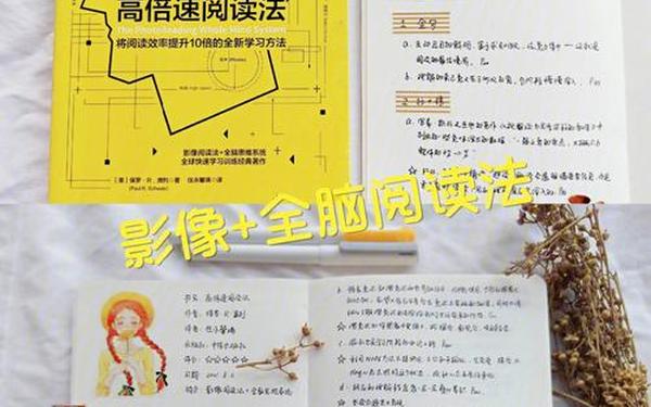 全脑速读记忆 mandark梁丹郡