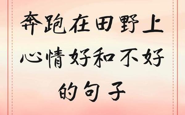 奔跑在田野上心情好和不好,奔跑在田野上的两种心情40字