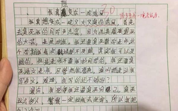 三年级想象作文300字 假如我是一坨屎作文