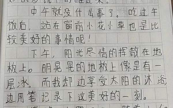 10篇优秀日记;日记100字怎么写
