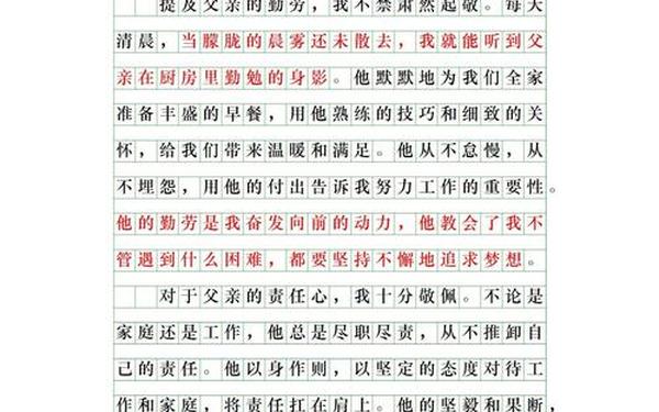 我最敬佩的人作文300字(我最敬佩的人300左右)