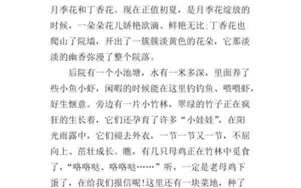 农家小院的作文-家里的院子作文400字四年级