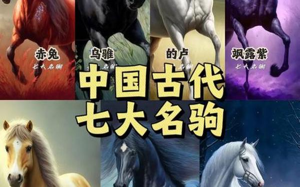 关于马的故事;中国十大名马