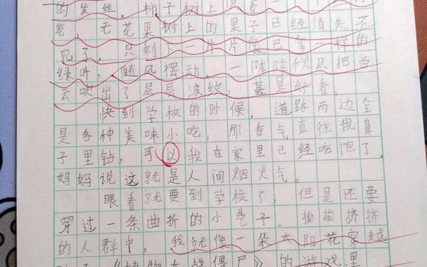 放学路上的风景作文三年级—写放学路上的风景三年级