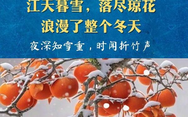带雪的诗句—带有月的诗句