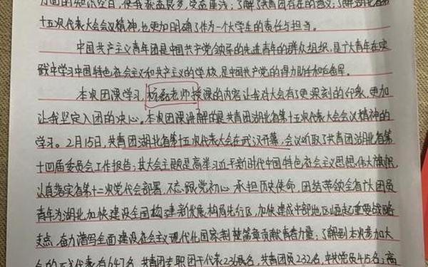 团员个人总结100字、团员个人小结500字