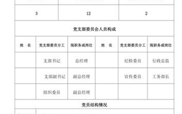 党支部基本情况(党支部基本情况介绍模板)