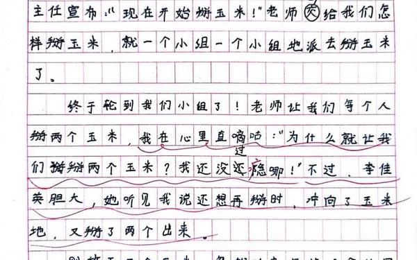 四年级上册优秀作文(四年级作文全集)