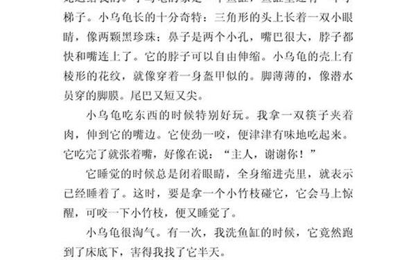 唯美小短文300字—写物的优美段落