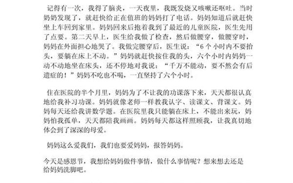 关于母亲的作文,作文《母爱》300字
