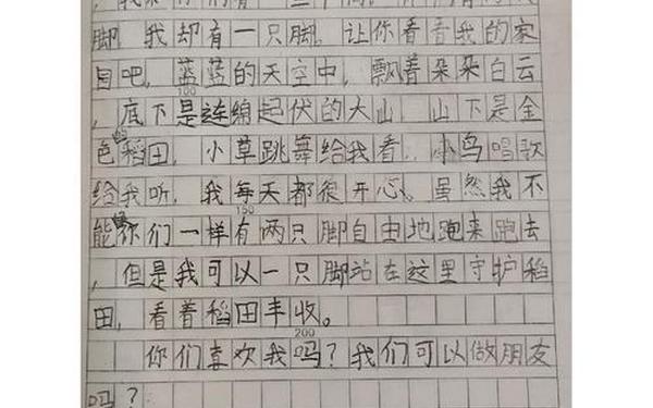 稻草人续写300字,续写稻草人的故事三年级
