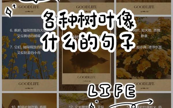 什么树叶像什么的句子,_树叶_____像______造句简单