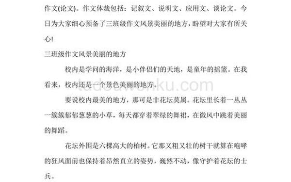 小学生风景作文 美丽的风景作文三年级