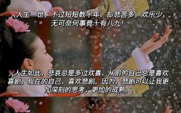 步步惊心经典语句(步步惊心的唯美句子)