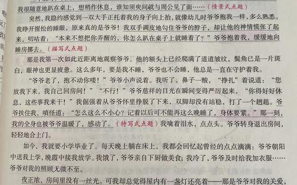 六年级优秀满分作文-六年级作文范文10篇
