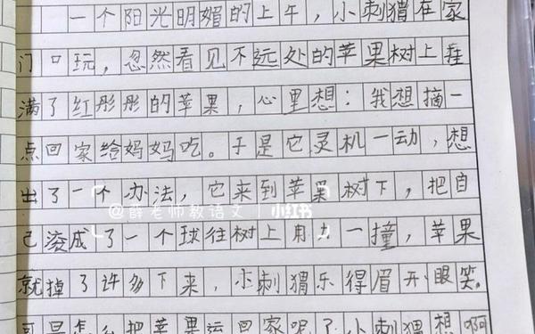二年级必考20篇看图写话—二年级日记50字