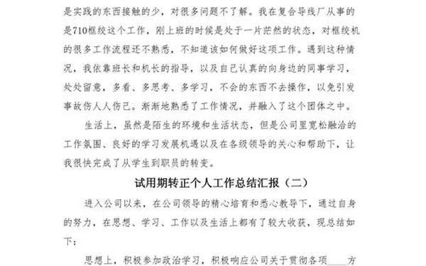 个人试用期转正工作总结范文(试用期工作总结及转正申请 员工)